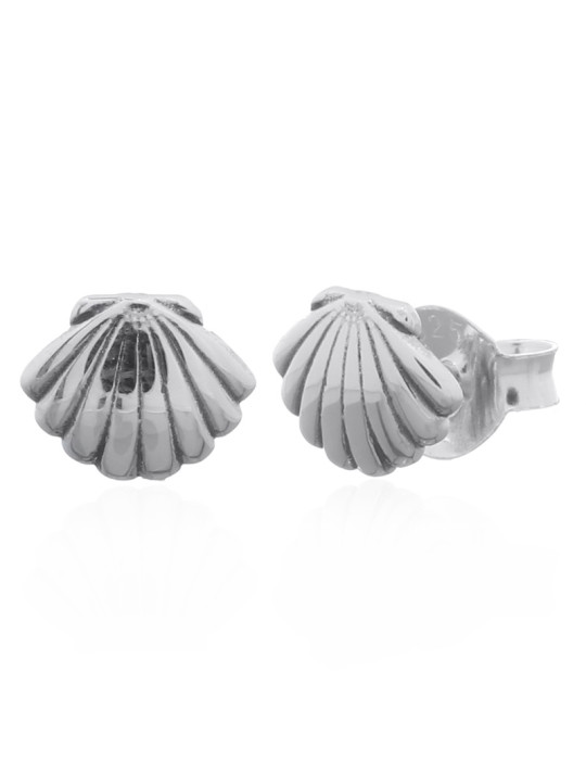 Boucles d'oreilles toute argent